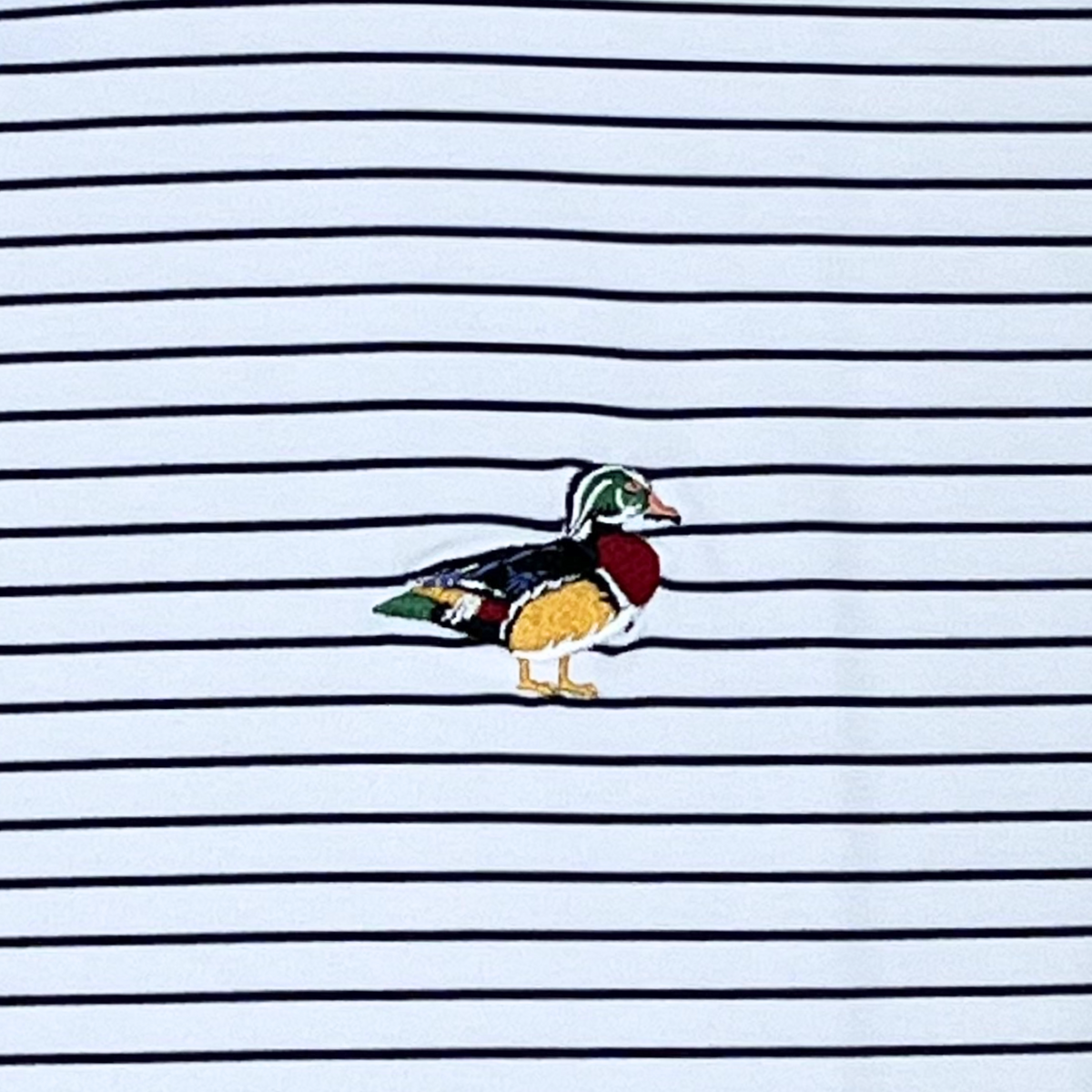Wrinkle-Free Wood Duck Polo Shirt in White/Black