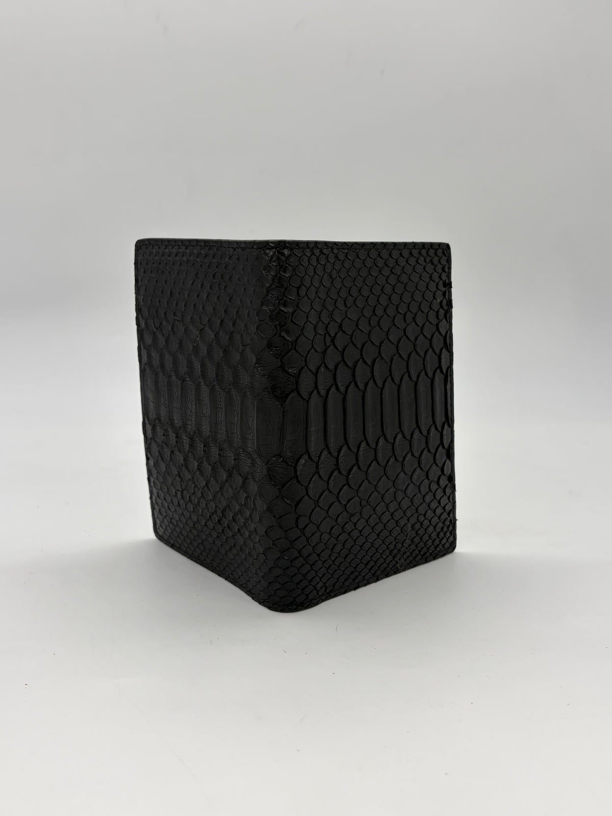 Python Passport Holder