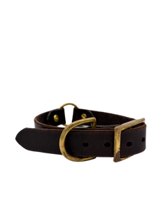 Bridle Leather Dog Collar
