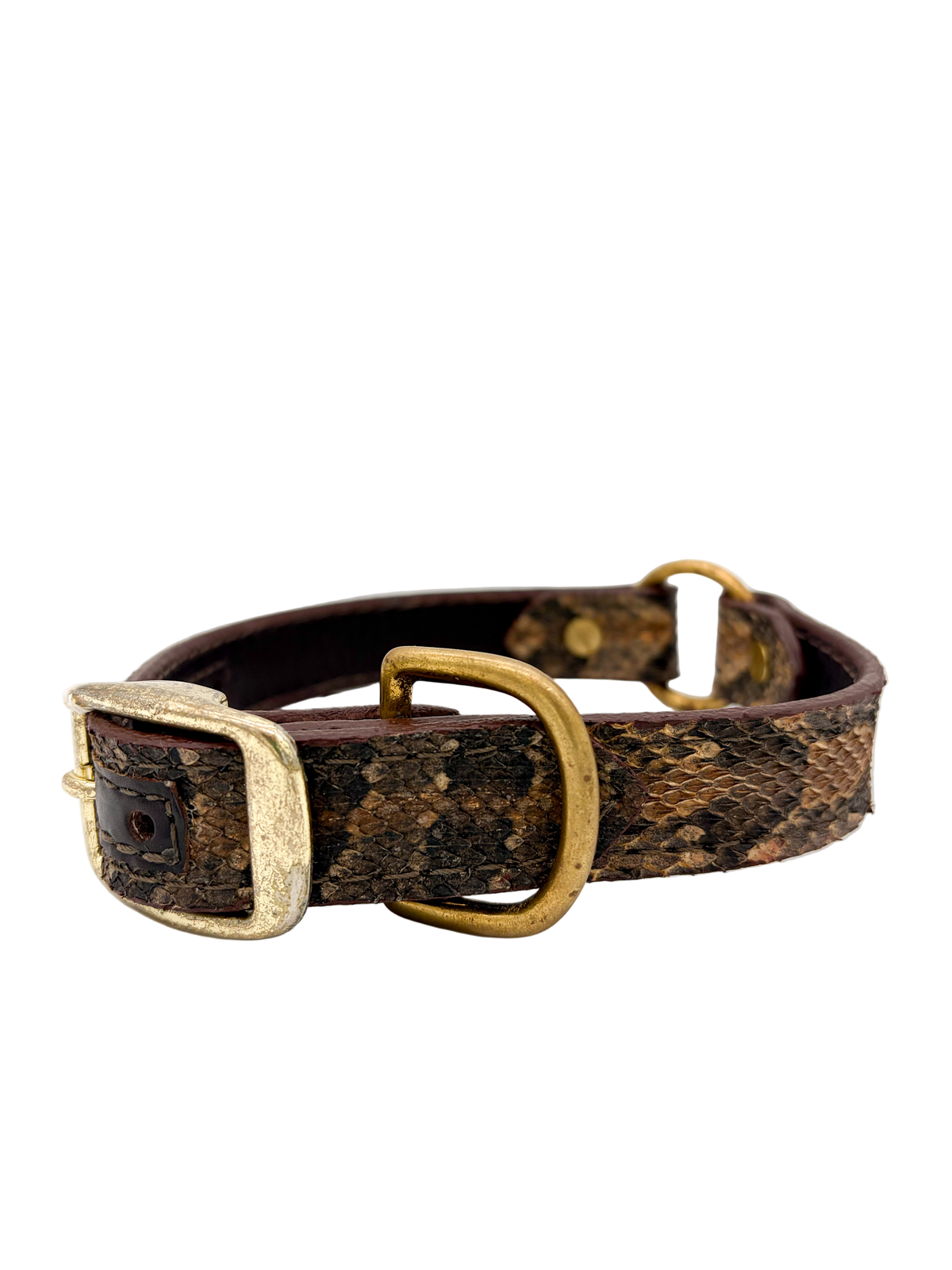 Eastern DiamondBack Dog Collar