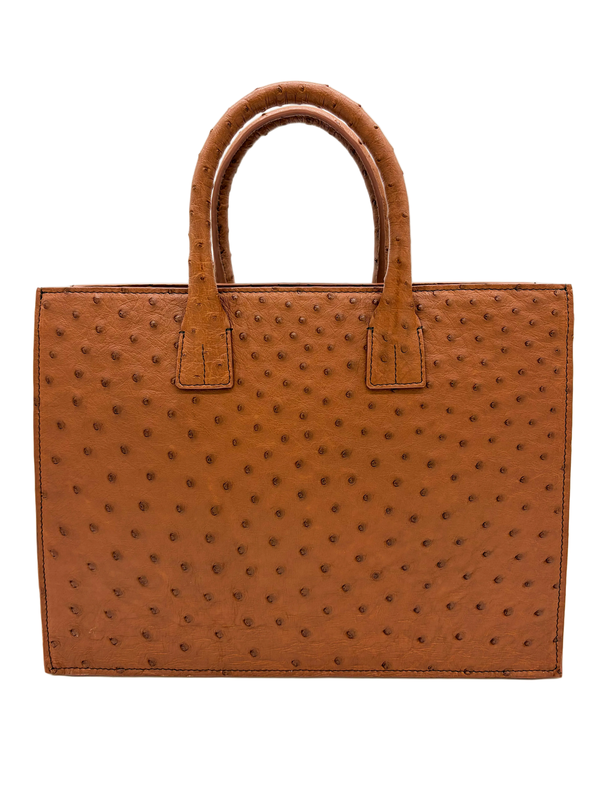 Ostrich Market Tote