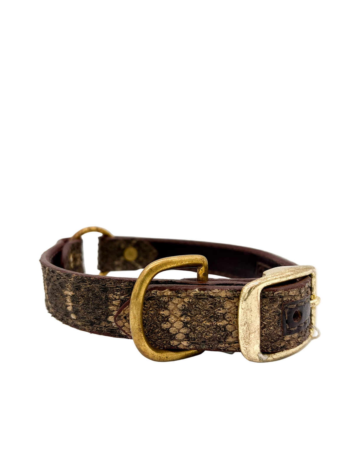 Western Diamondback Dog Collar
