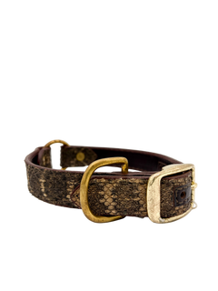 Western Diamondback Dog Collar