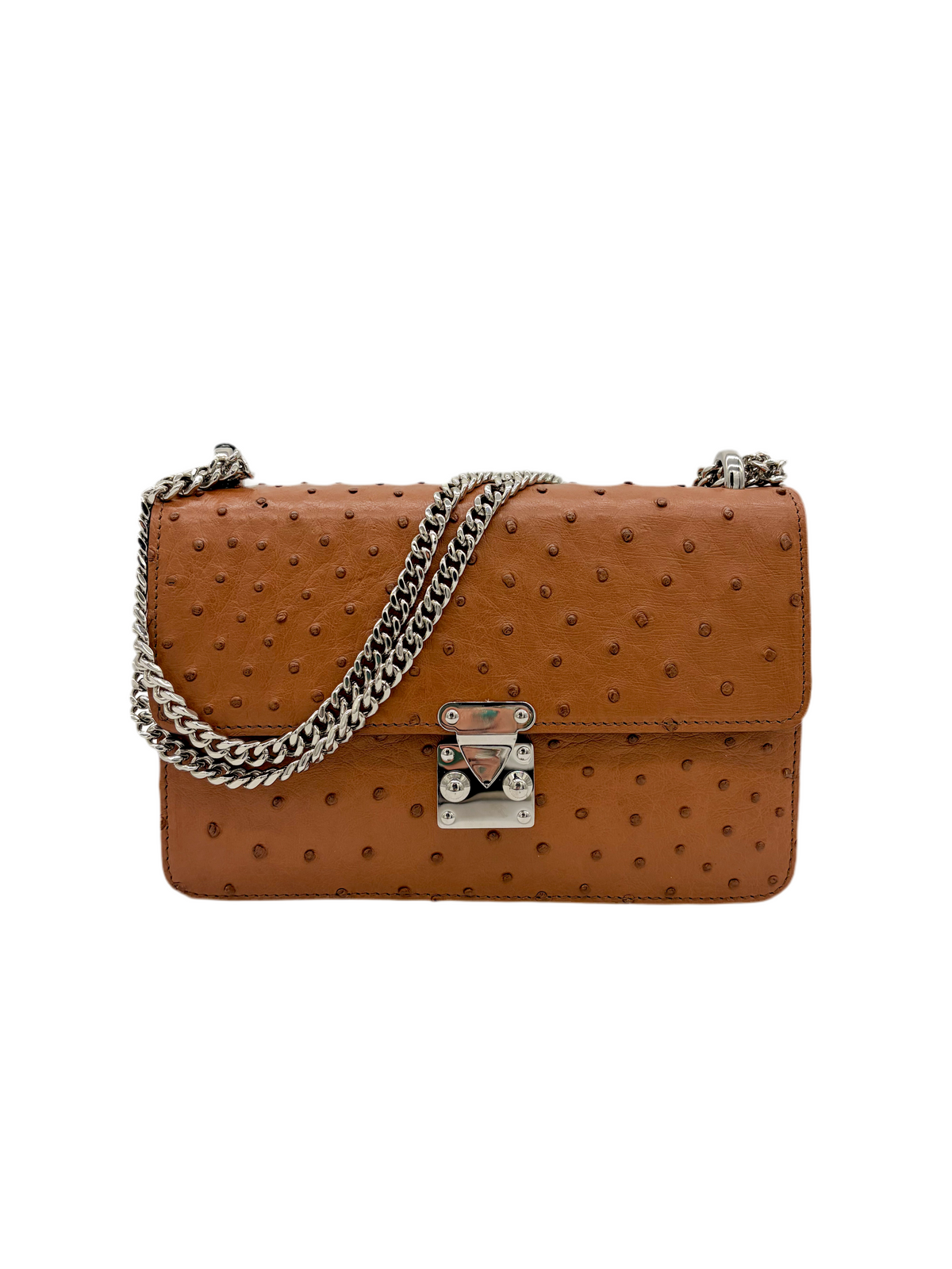 Ostrich Chain Bag