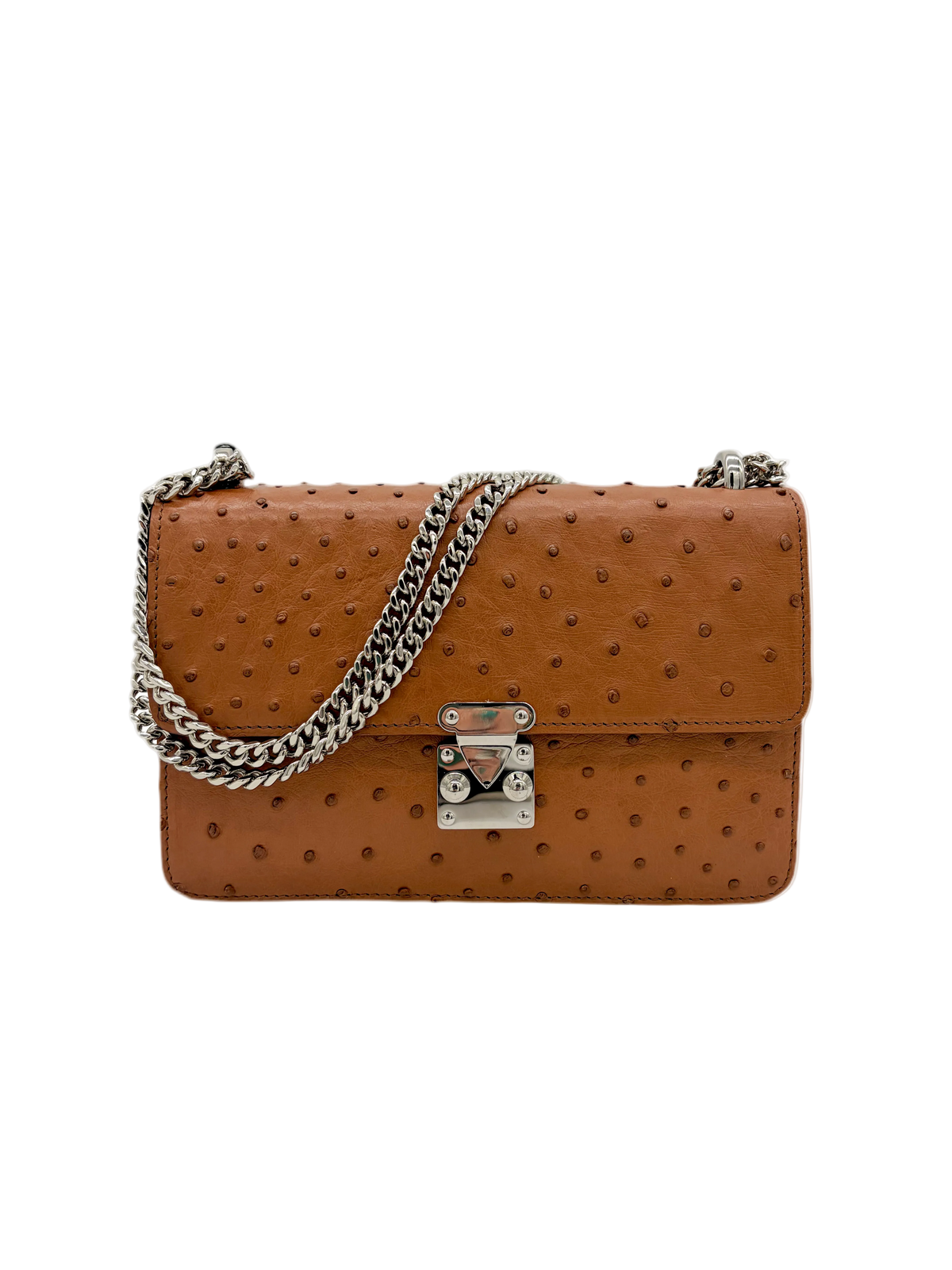 Ostrich Chain Bag