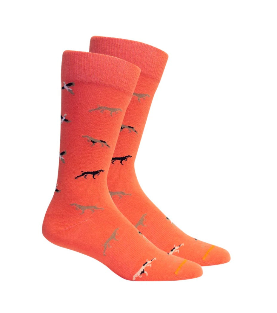 Brown Dog Socks