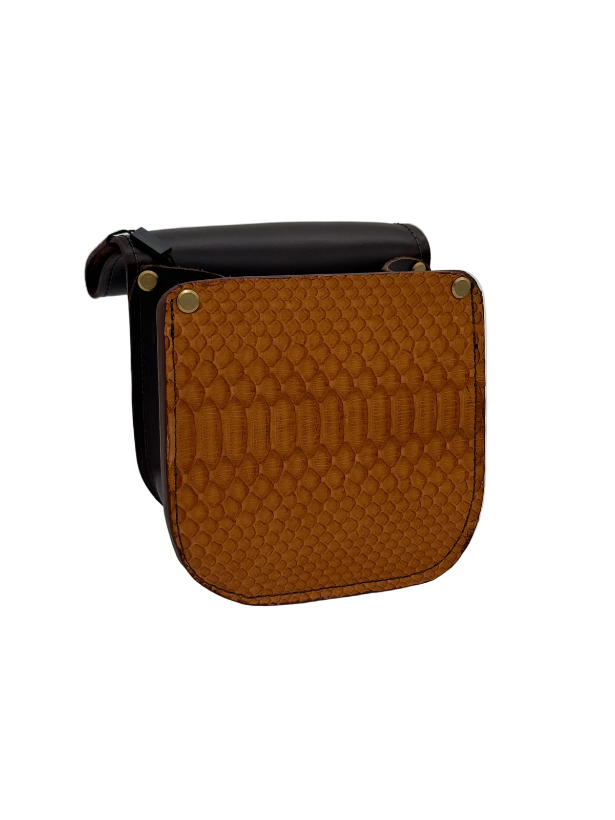Small Shell Pouch